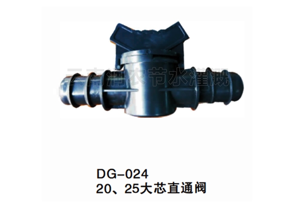 20、25大芯直通閥